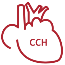 LOGO-CCH-6 (1)